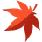 MapleWordle logo